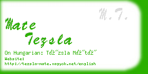 mate tezsla business card